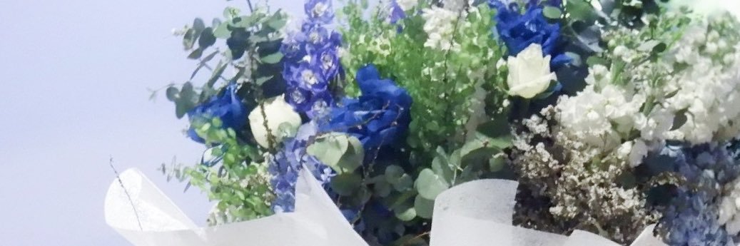 iamjanicesulit's profile banner image