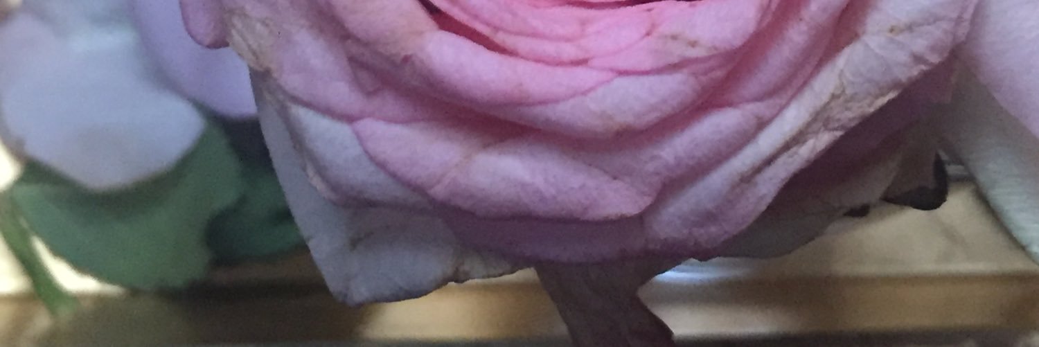 lailaa4444's profile banner image