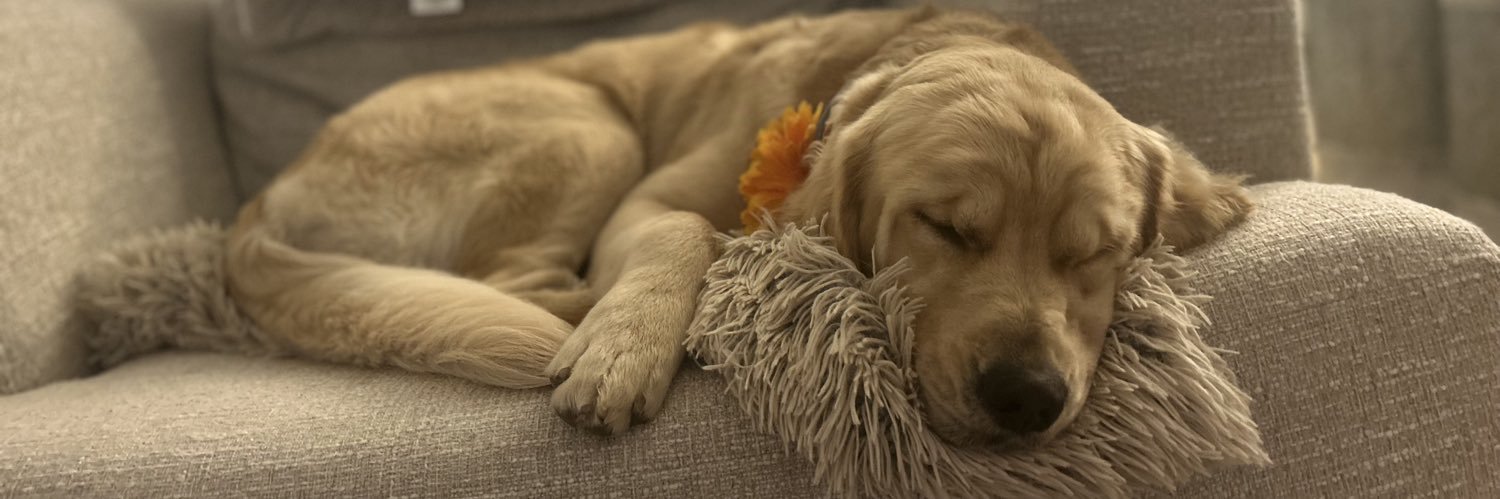 Tricia Aulbach banner