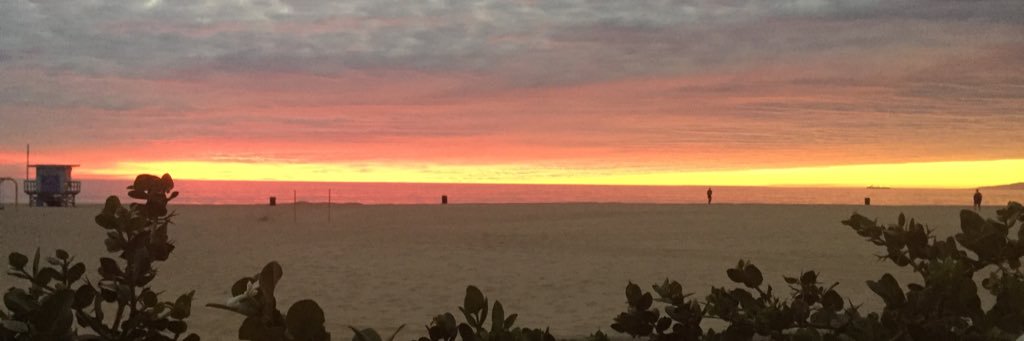 GraceMurphy31's profile banner image