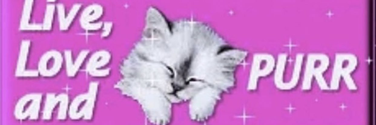 skibidi chungus banner