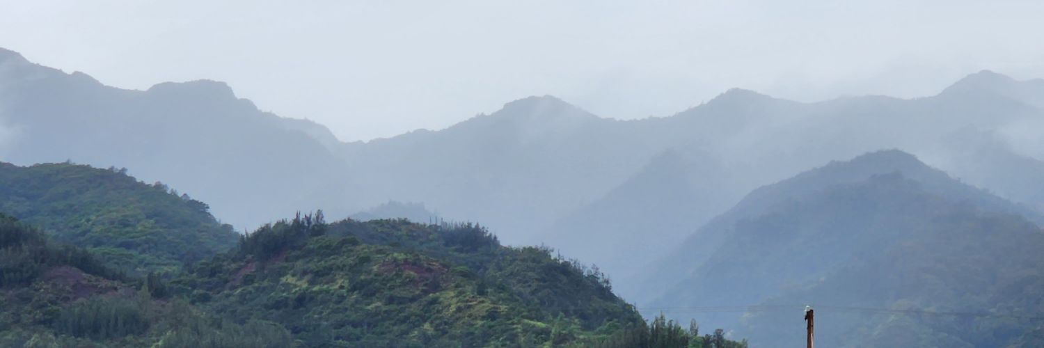 sweetsadiemcgee's profile banner image