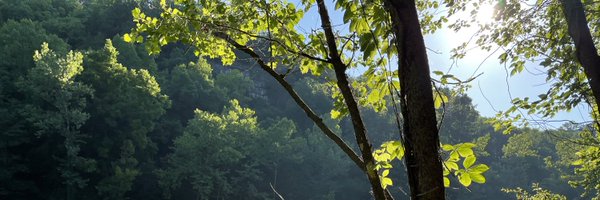 eapauley Profile Banner