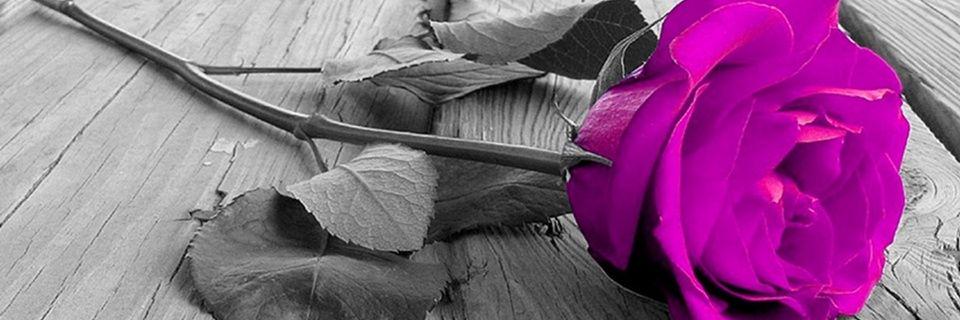 xosummerann's profile banner image