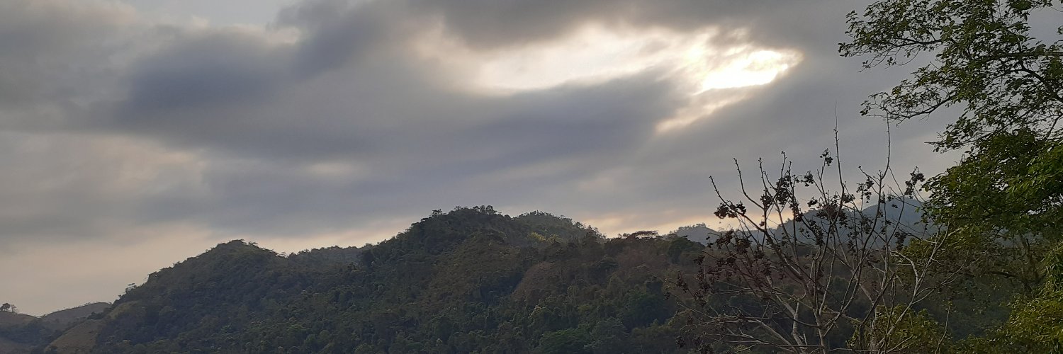 Daniel C banner