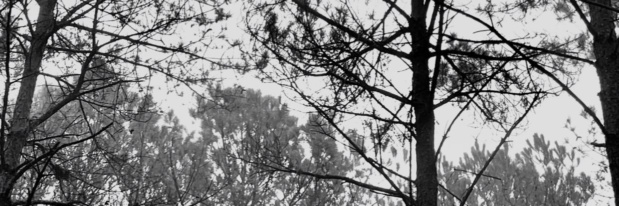 logan_white3's profile banner image