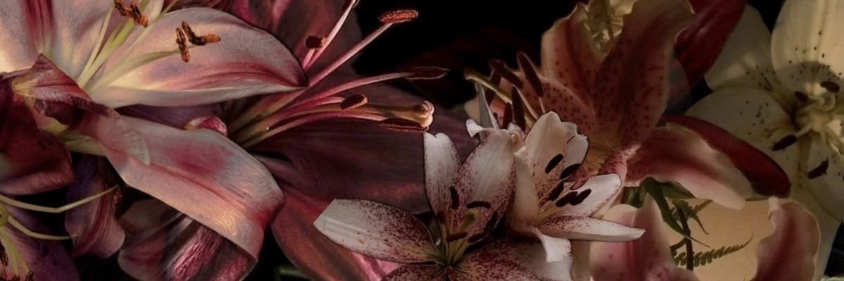 darinnep03's profile banner image