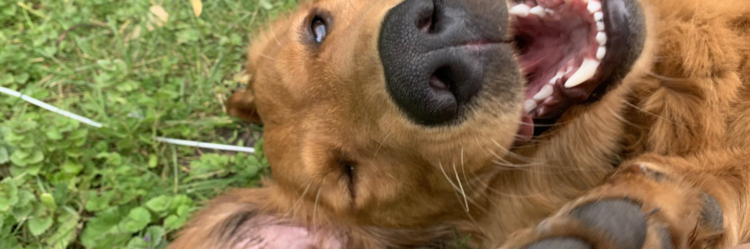 MaddieNeilss's profile banner image