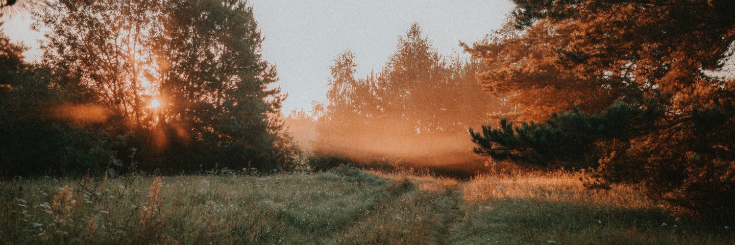 DenisMazychev's profile banner image