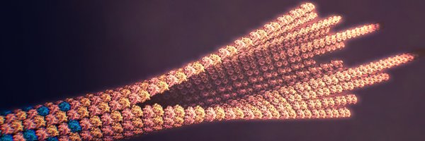 petermindek Profile Banner