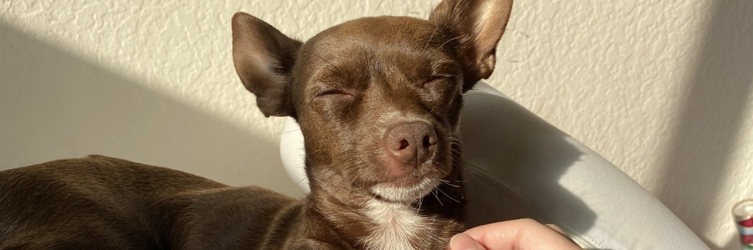 summerlynnblues's profile banner image