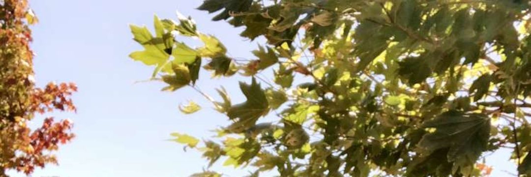 __usermain's profile banner image