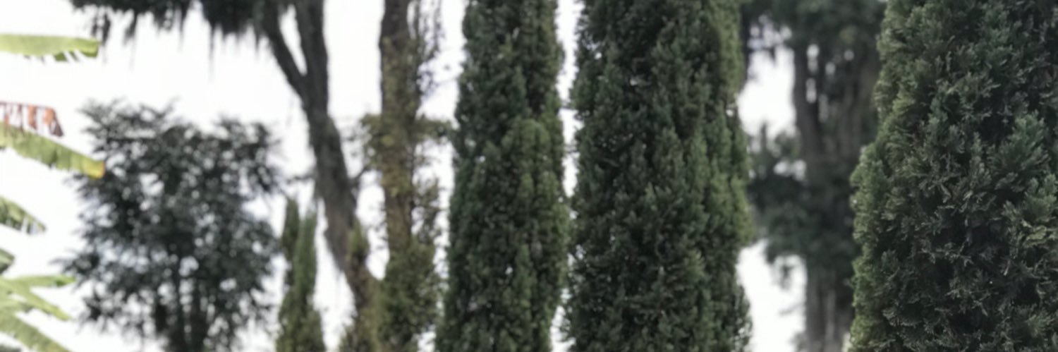 Jennifercubide's profile banner image
