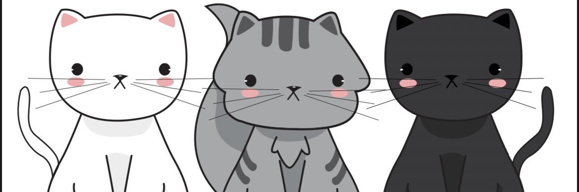 carolinarse's profile banner image