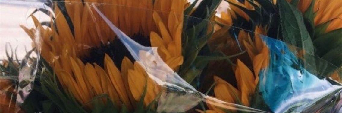 emmapruneda9's profile banner image