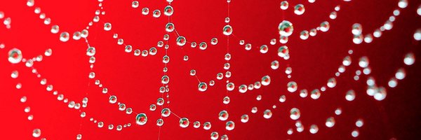 edgeATX Profile Banner