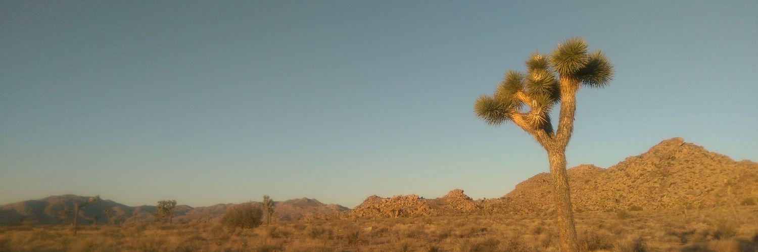 City_Outdoors's profile banner image