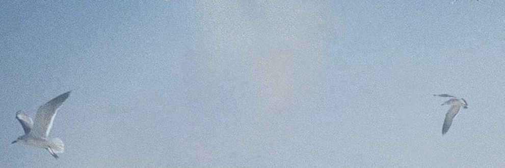 Allx_ly's profile banner image