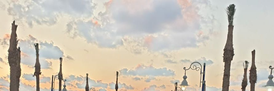 nevenadel7's profile banner image