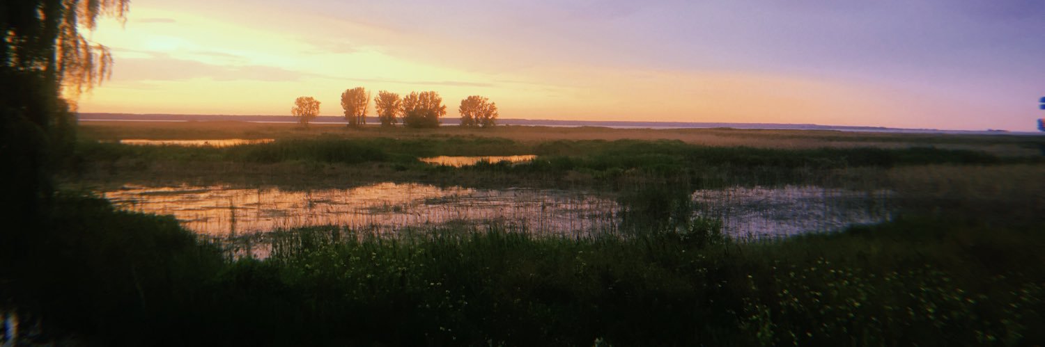 neatlysb's profile banner image