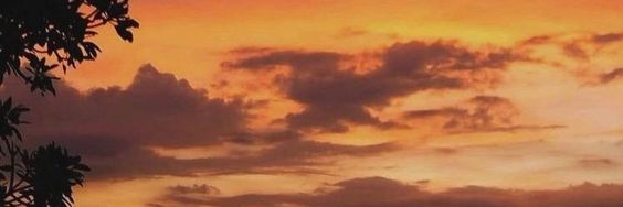 nftbrandonsm's profile banner image