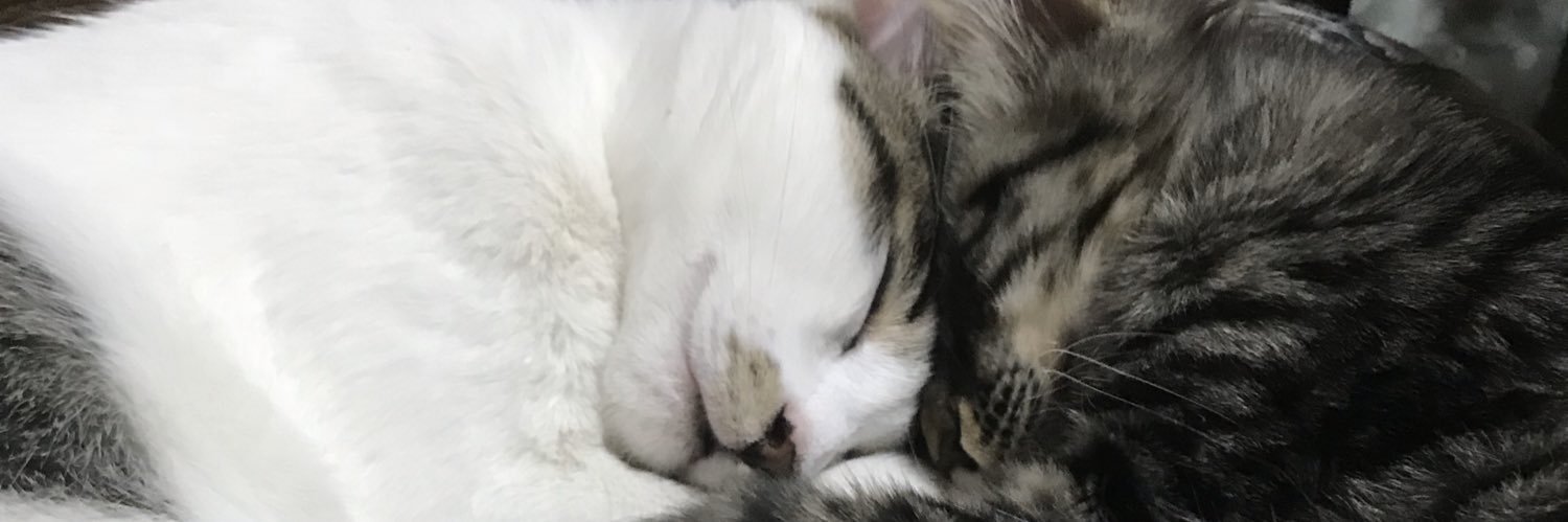 LilaCompass's profile banner image