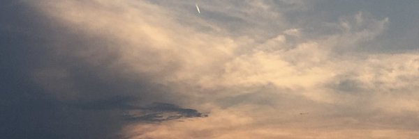 RadhikaShah97 Profile Banner