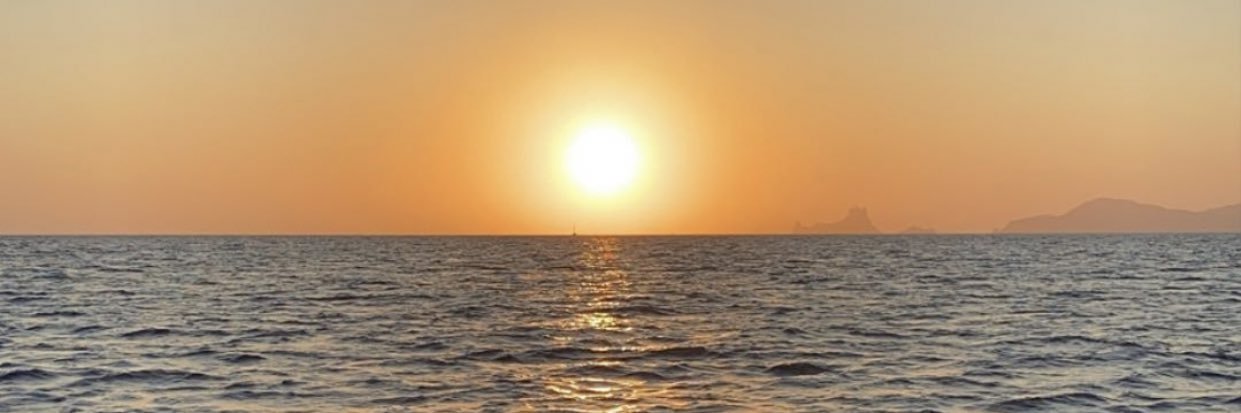paulaolvm's profile banner image
