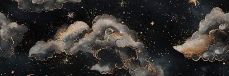 adelapasagic's profile banner image