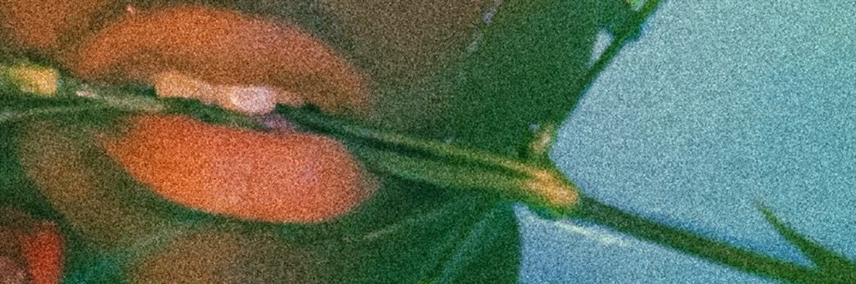 ChaakaTL's profile banner image