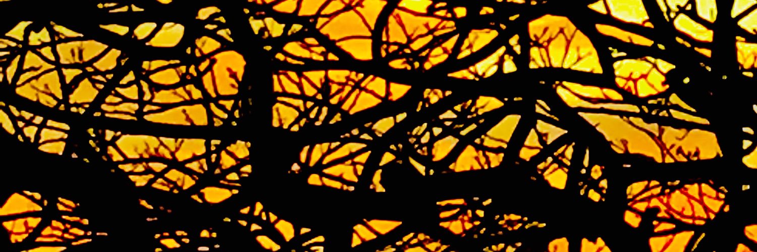 Caz9898's profile banner image