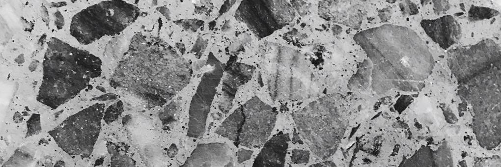 RikrdoDisaster's profile banner image