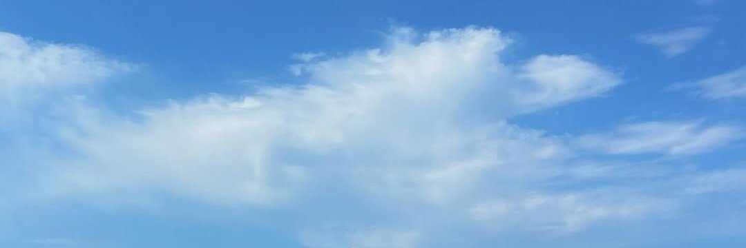 Cecily_05's profile banner image