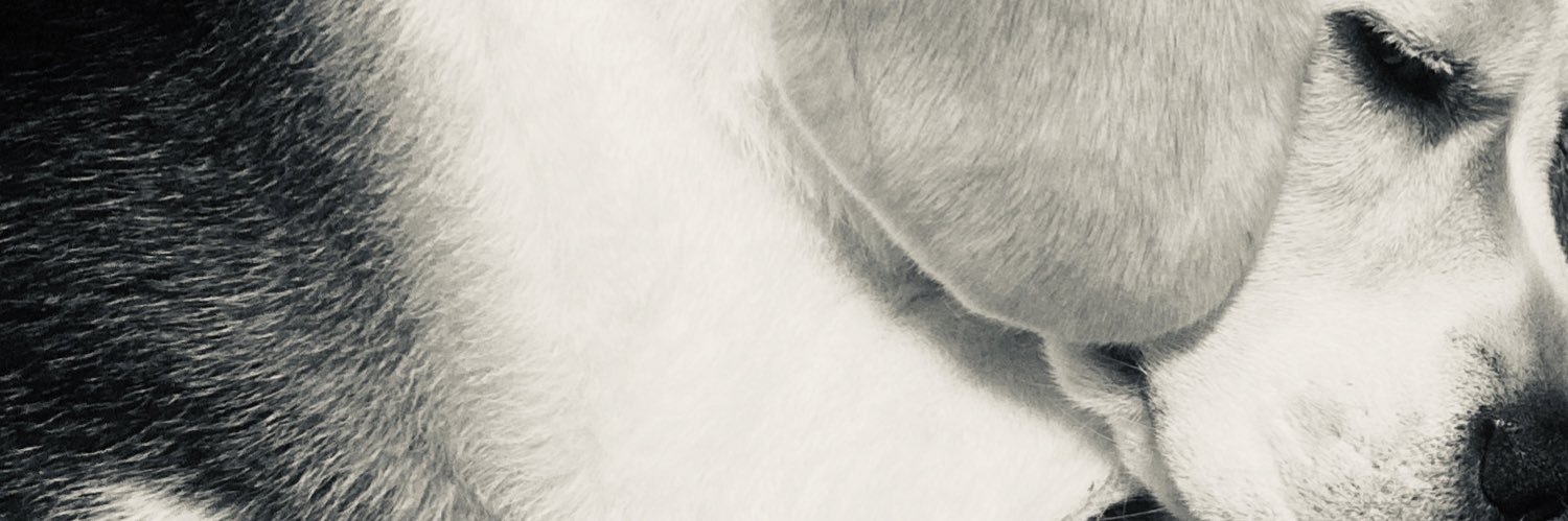 GreenSAI_0215's profile banner image