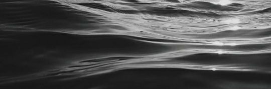 ambulaut's profile banner image