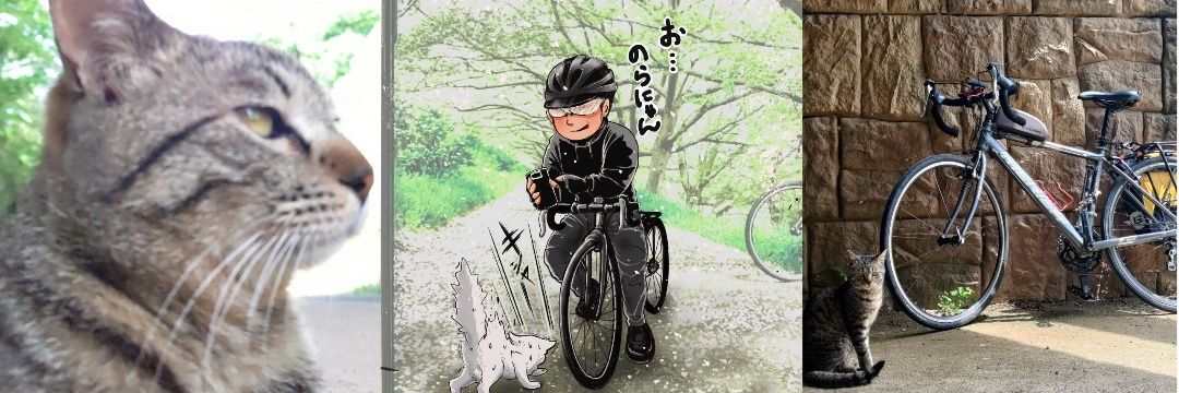 NPitochin's profile banner image