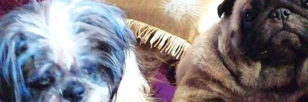 gabriellevlr_'s profile banner image