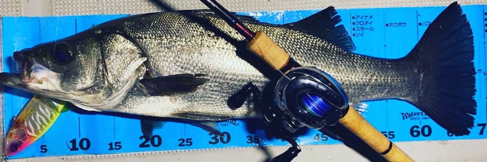fishhand_'s profile banner image