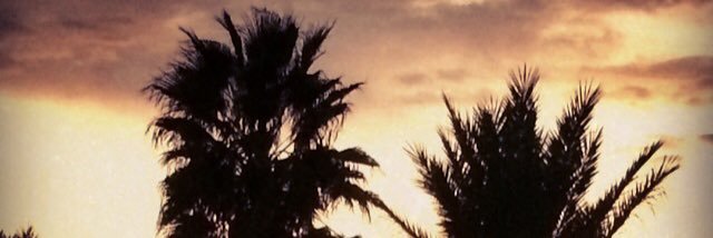 irss3's profile banner image