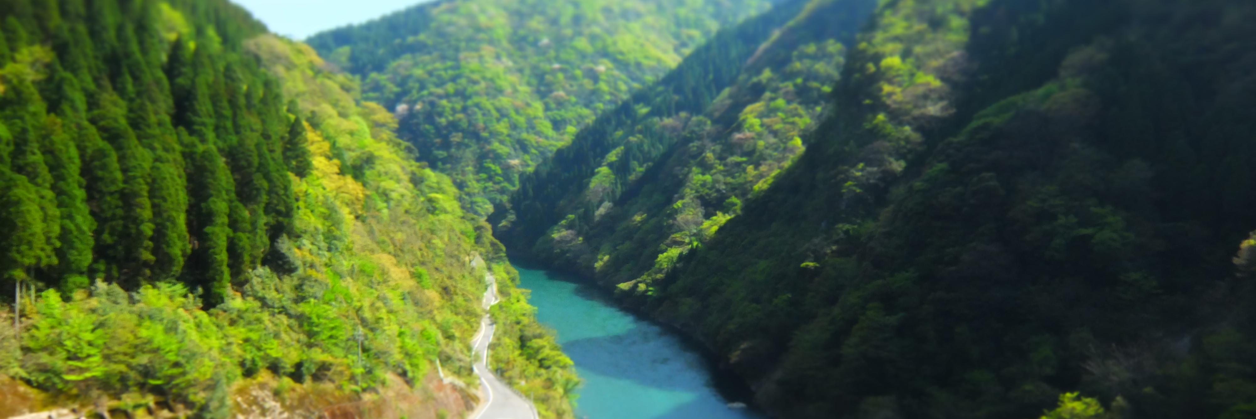 ngaphung36's profile banner image