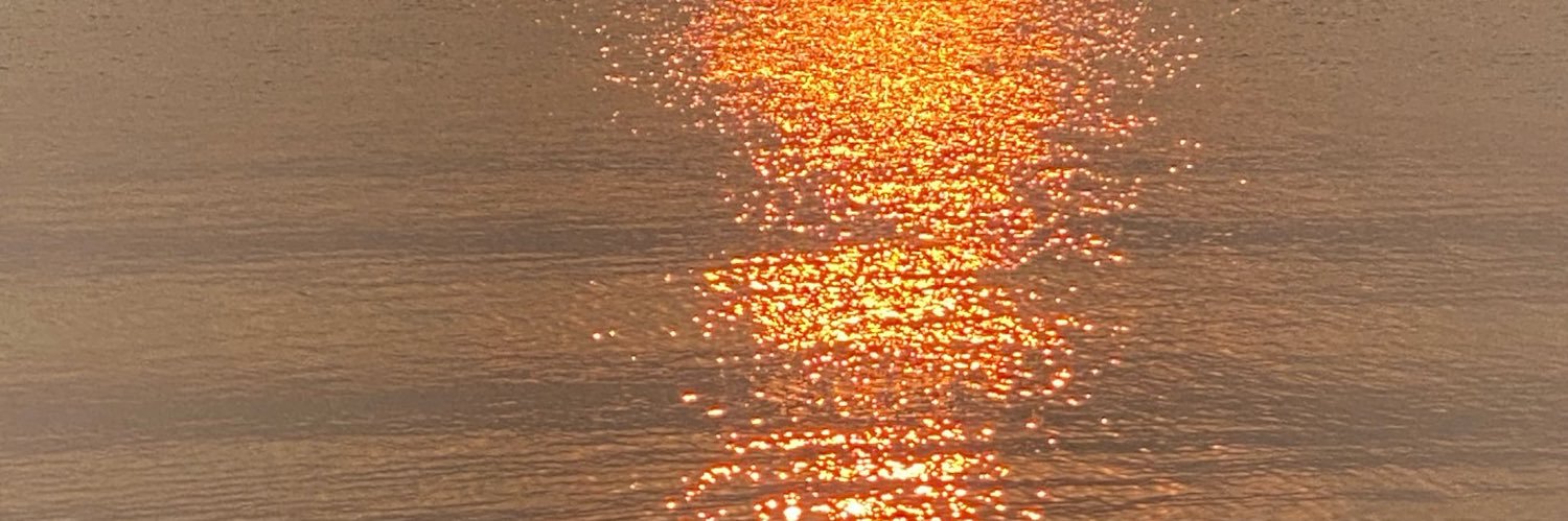 nbsgdpch's profile banner image