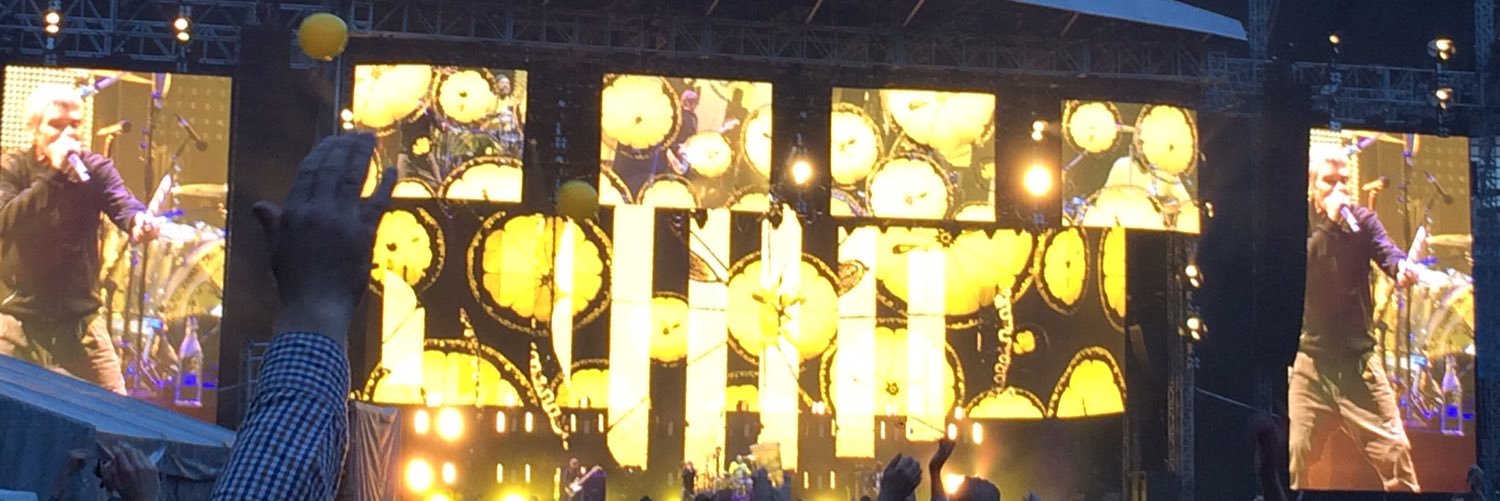 Karen Robinson🤍💛💙 banner