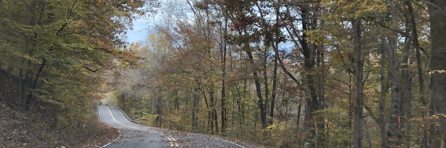 Blake Bernier banner