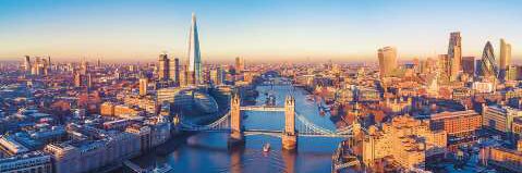 The Real Travis banner