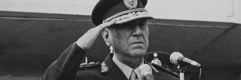 Zanfardini's profile banner image