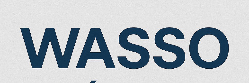 Wasso_Niger's profile banner image