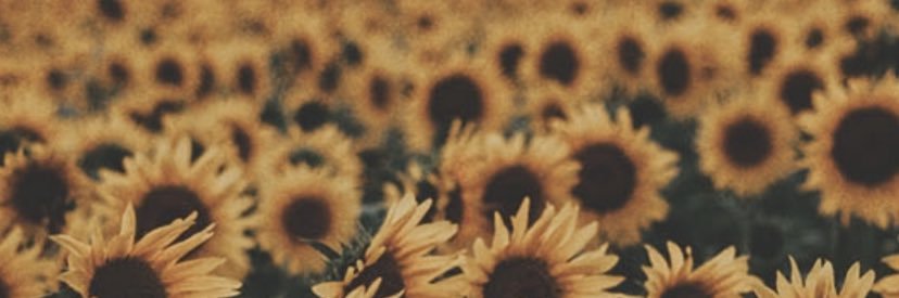 nichashzin's profile banner image