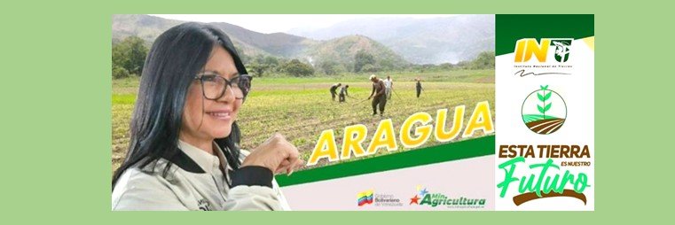 AngelEJaramillo's profile banner image