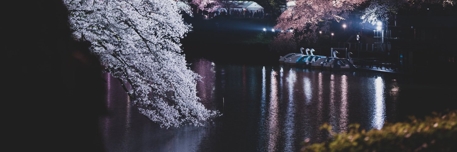 _moonlitez's profile banner image