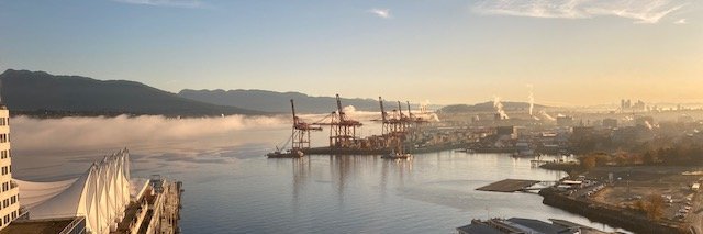 Michael Sandler banner